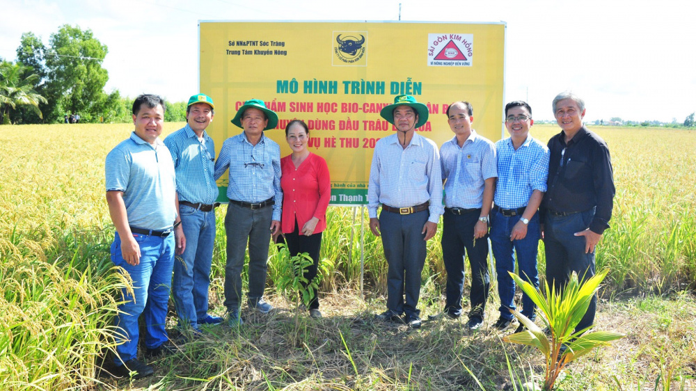 bình điền