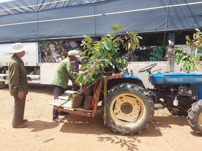 phát triển bền vững
