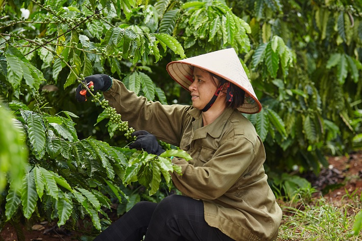 phát triển bền vững
