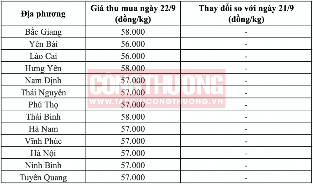 Giá heo hơi hôm nay tại miền Bắc CWIN ✅ Nhà cái cờ bạc trực tuyến tốt nhất và Thương hiệu uy tín