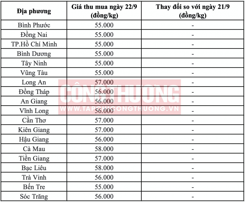 Giá heo hơi hôm nay tại miền Nam CWIN ✅ Nhà cái cờ bạc trực tuyến tốt nhất và Thương hiệu uy tín