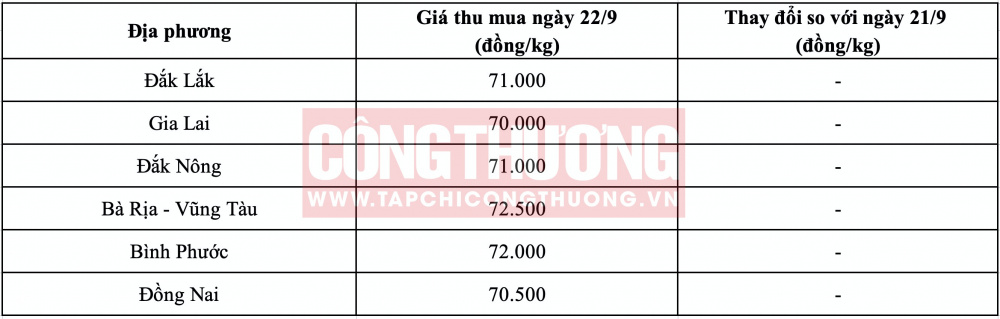Giá tiêu hôm nay tại Tây Nguyên CWIN ✅ Nhà cái cờ bạc trực tuyến tốt nhất và Thương hiệu uy tín