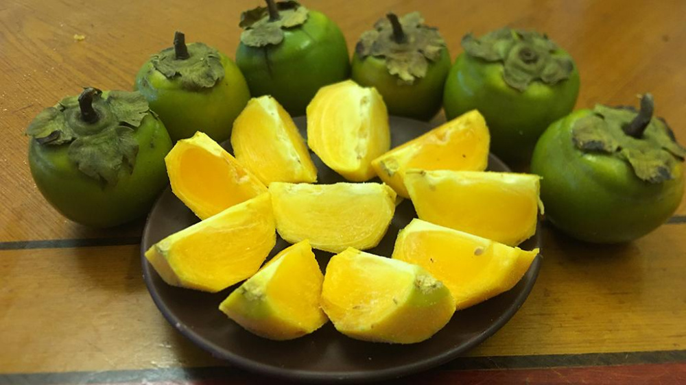 thức quà thu Hà Nội