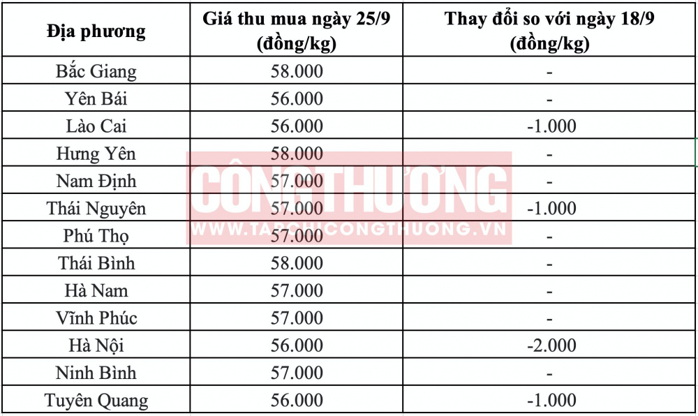Giá heo hơi hôm nay tại miền Bắc CWIN ✅ Nhà cái cờ bạc trực tuyến tốt nhất và Thương hiệu uy tín