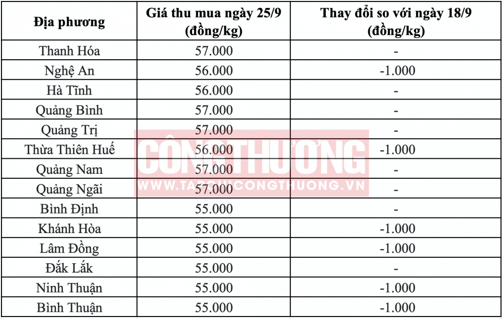 Giá heo hơi hôm nay tại miền Trung CWIN ✅ Nhà cái cờ bạc trực tuyến tốt nhất và Thương hiệu uy tín