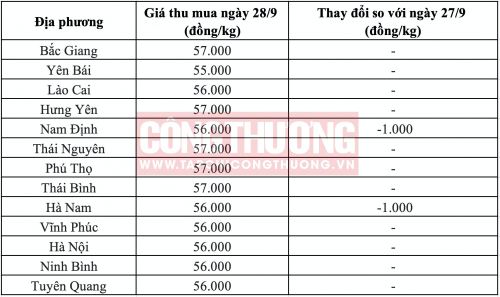 Giá heo hơi hôm nay tại miền Bắc CWIN ✅ Nhà cái cờ bạc trực tuyến tốt nhất và Thương hiệu uy tín