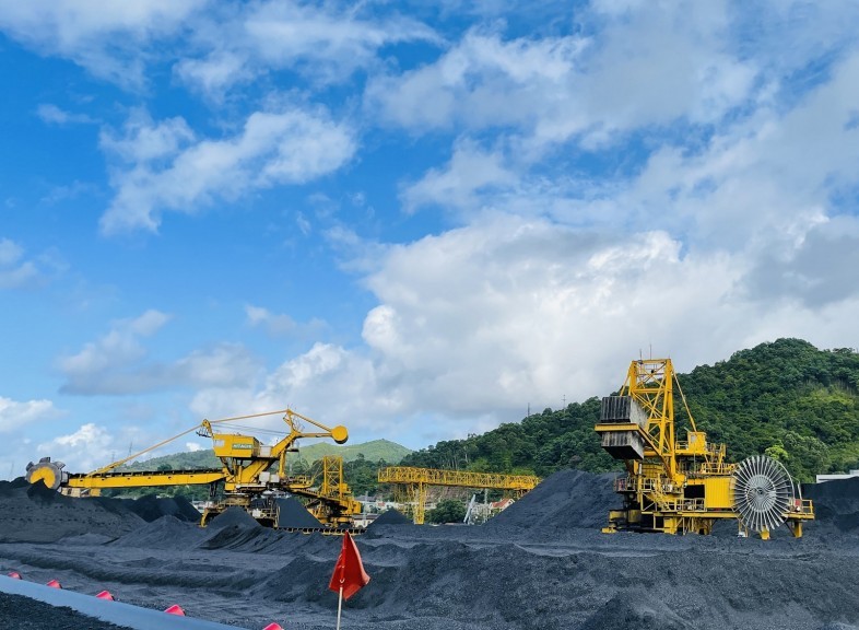 tkv giữ nhịp Nền tảng hàng đầu cung cấp Cwin com