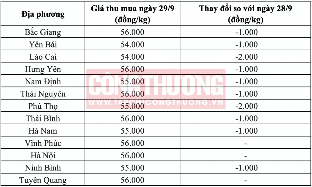Giá heo hơi hôm nay ngày 28/9/2023 tại khu vực miền Bắc.