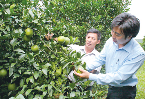 Đặc sản vùng miền