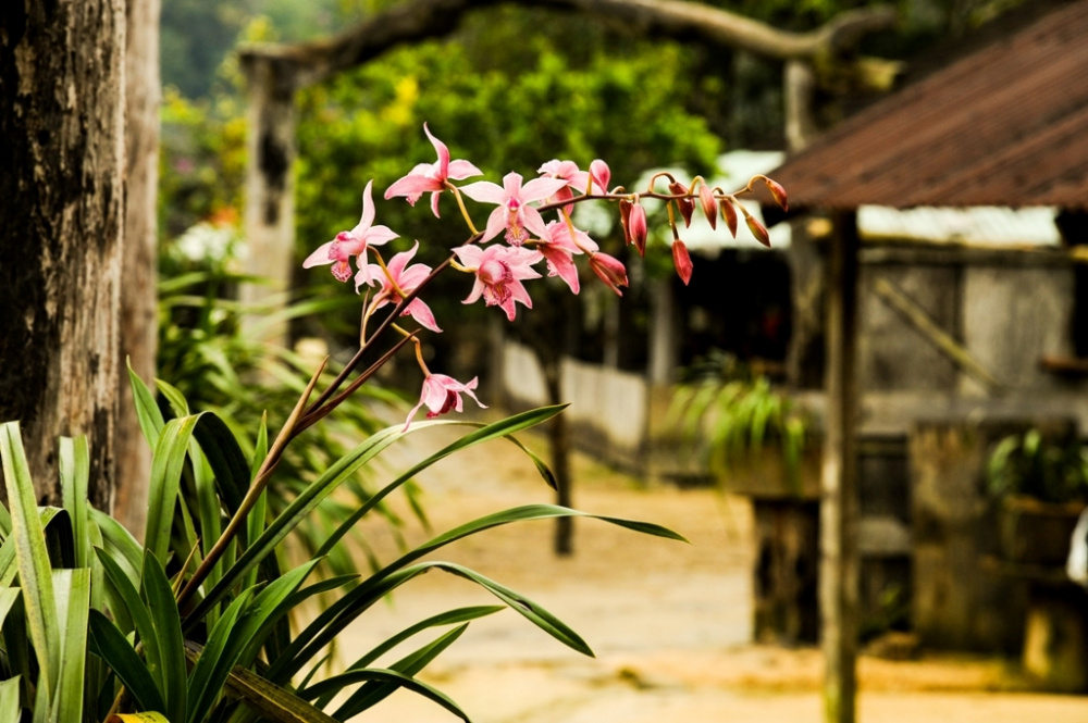 Làng cổ Vi Rơ Ngheo
