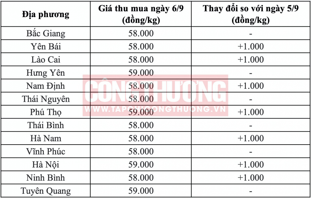 Giá heo hơi hôm nay tại miền Bắc CWIN ✅ Nhà cái cờ bạc trực tuyến tốt nhất và Thương hiệu uy tín