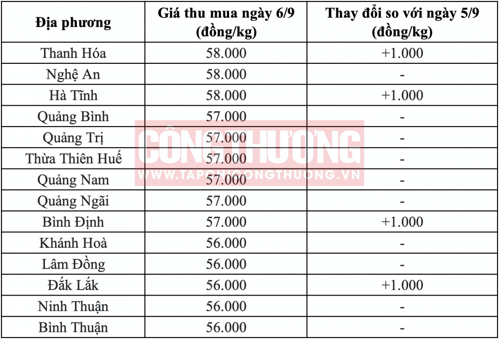 Giá heo hơi hôm nay tại miền Trung CWIN ✅ Nhà cái cờ bạc trực tuyến tốt nhất và Thương hiệu uy tín