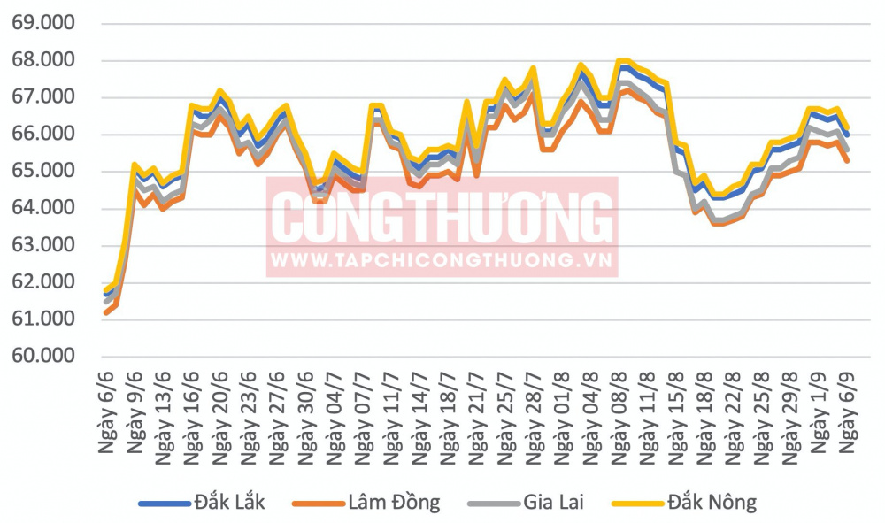 Giá cà phê hôm nay CWIN ✅ Nhà cái cờ bạc trực tuyến tốt nhất và Thương hiệu uy tín