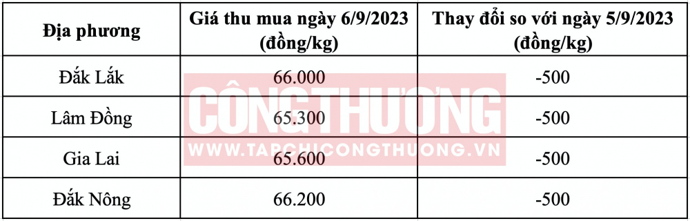 Giá cà phê hôm nay CWIN ✅ Nhà cái cờ bạc trực tuyến tốt nhất và Thương hiệu uy tín