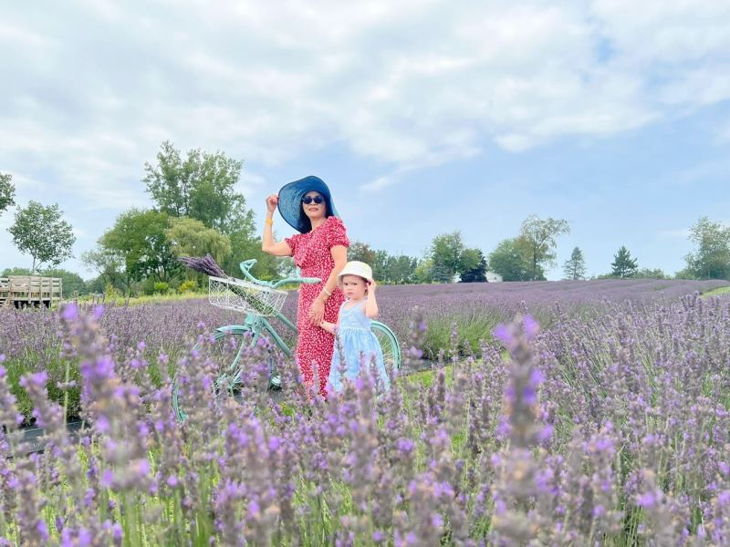 xe dap lavender