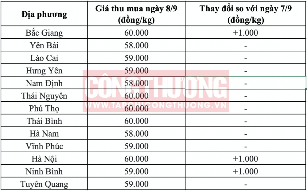 Giá heo hơi hôm nay tại miền Bắc CWIN ✅ Nhà cái cờ bạc trực tuyến tốt nhất và Thương hiệu uy tín