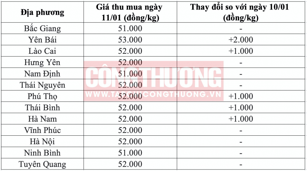 Giá heo hơi hôm nay tại miền Bắc Tạp chí 