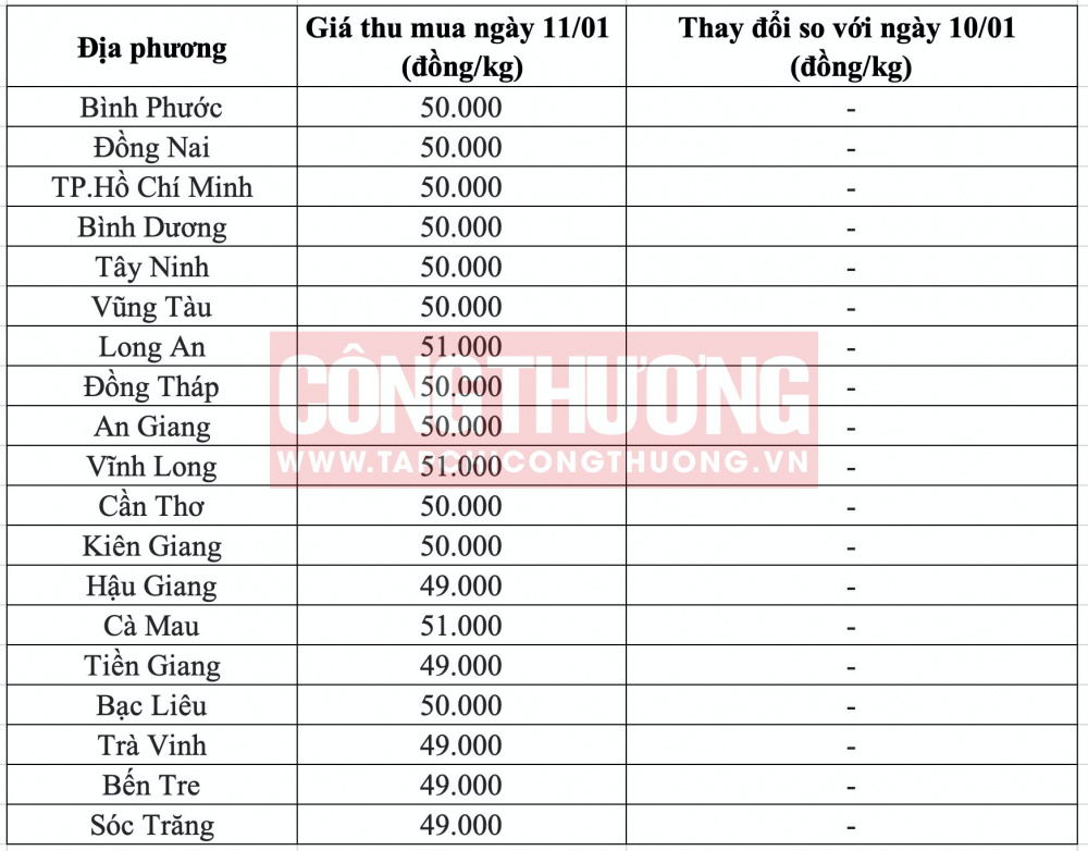 Giá heo hơi hôm nay tại miền Nam CWIN ✅ Nhà cái cờ bạc trực tuyến tốt nhất và Thương hiệu uy tín