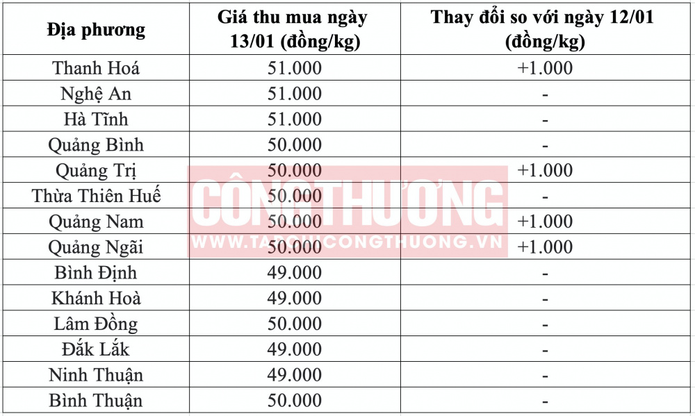 Giá heo hơi hôm nay tại miền Trung