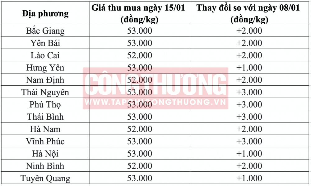 Giá heo hơi hôm nay tại miền Bắc