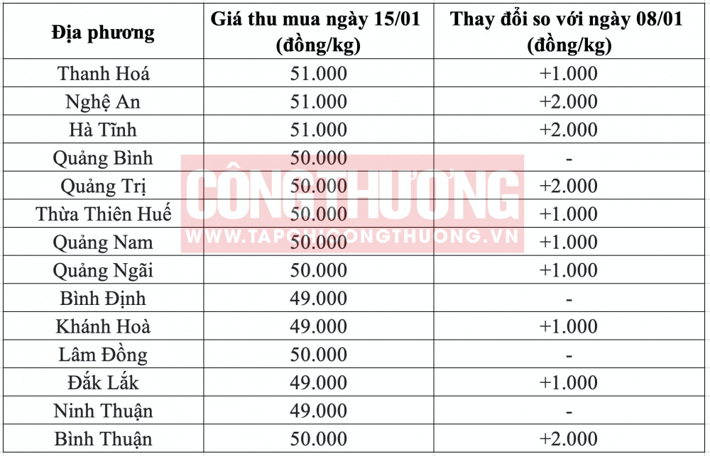 Giá heo hơi hôm nay tại miền Trung CWIN ✅ Nhà cái cờ bạc trực tuyến tốt nhất và Thương hiệu uy tín