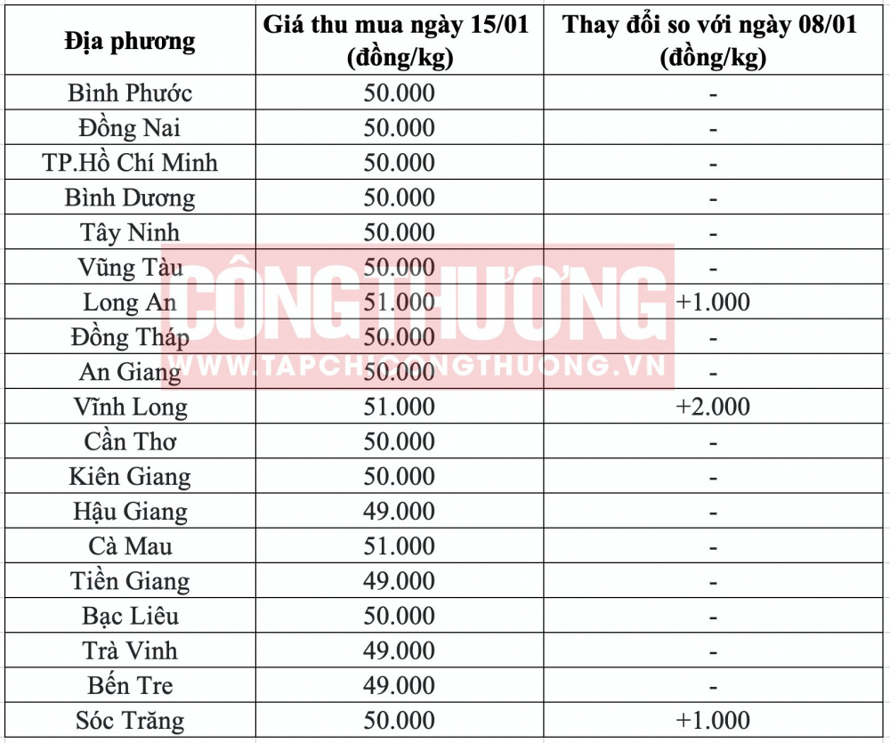 Giá heo hơi hôm nay tại miền Nam CWIN ✅ Nhà cái cờ bạc trực tuyến tốt nhất và Thương hiệu uy tín
