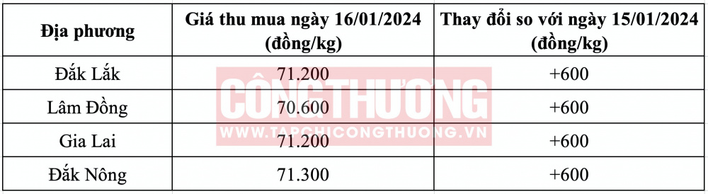 Giá cà phê hôm nay CWIN ✅ Nhà cái cờ bạc trực tuyến tốt nhất và Thương hiệu uy tín