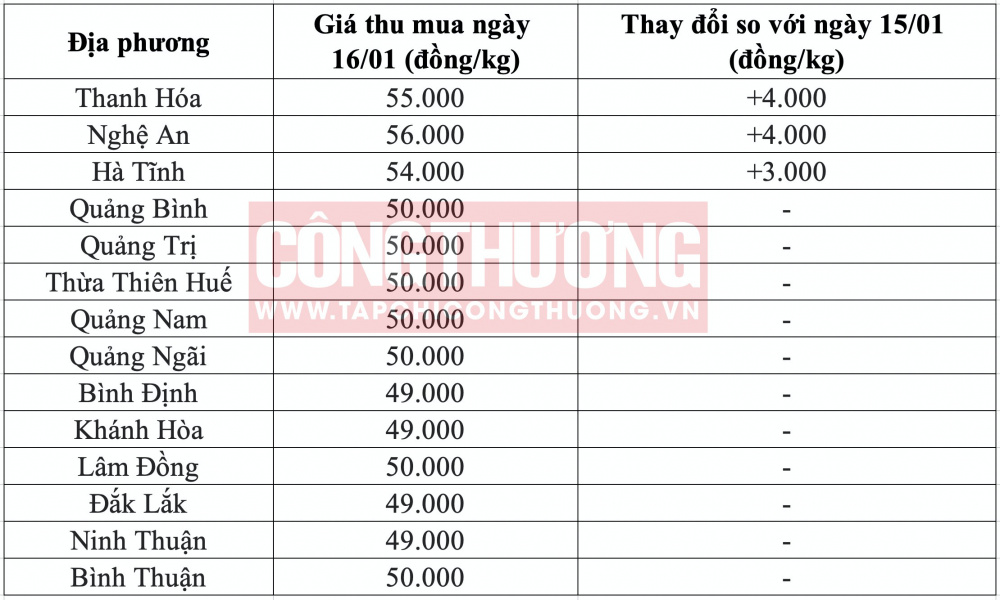 Giá heo hơi hôm nay tại miền Bắc