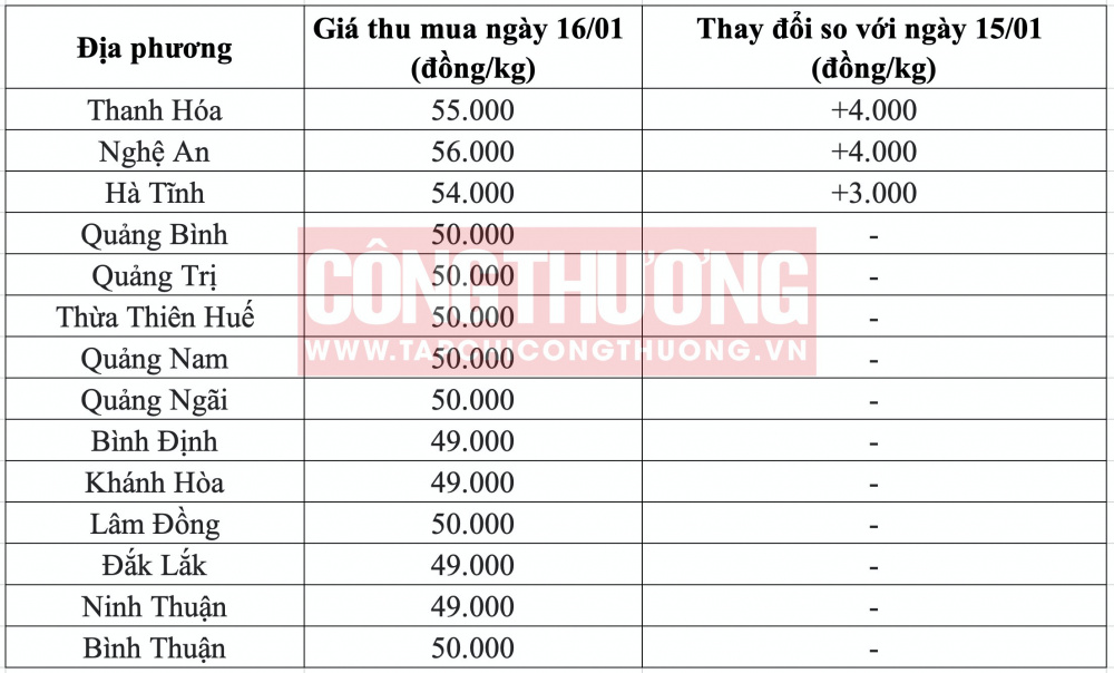 Giá heo hơi hôm nay tại miền Trung CWIN ✅ Nhà cái cờ bạc trực tuyến tốt nhất và Thương hiệu uy tín