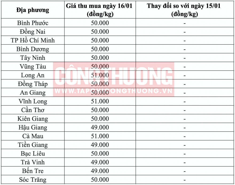 Giá heo hơi hôm nay tại miền Nam CWIN ✅ Nhà cái cờ bạc trực tuyến tốt nhất và Thương hiệu uy tín