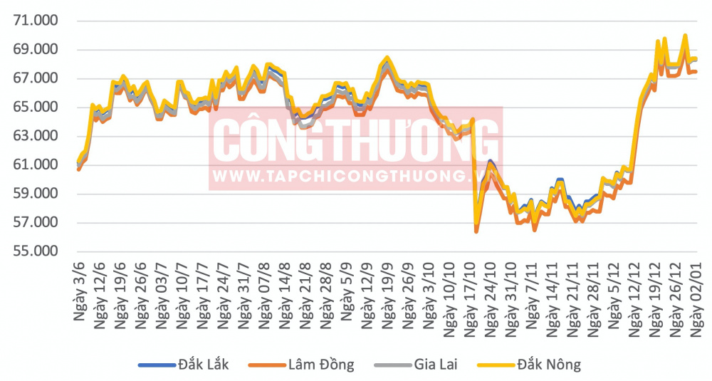 Giá cà phê hôm nay CWIN ✅ Nhà cái cờ bạc trực tuyến tốt nhất và Thương hiệu uy tín