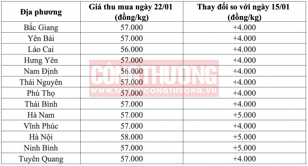 Giá heo hơi hôm nay tại miền Bắc CWIN ✅ Nhà cái cờ bạc trực tuyến tốt nhất và Thương hiệu uy tín