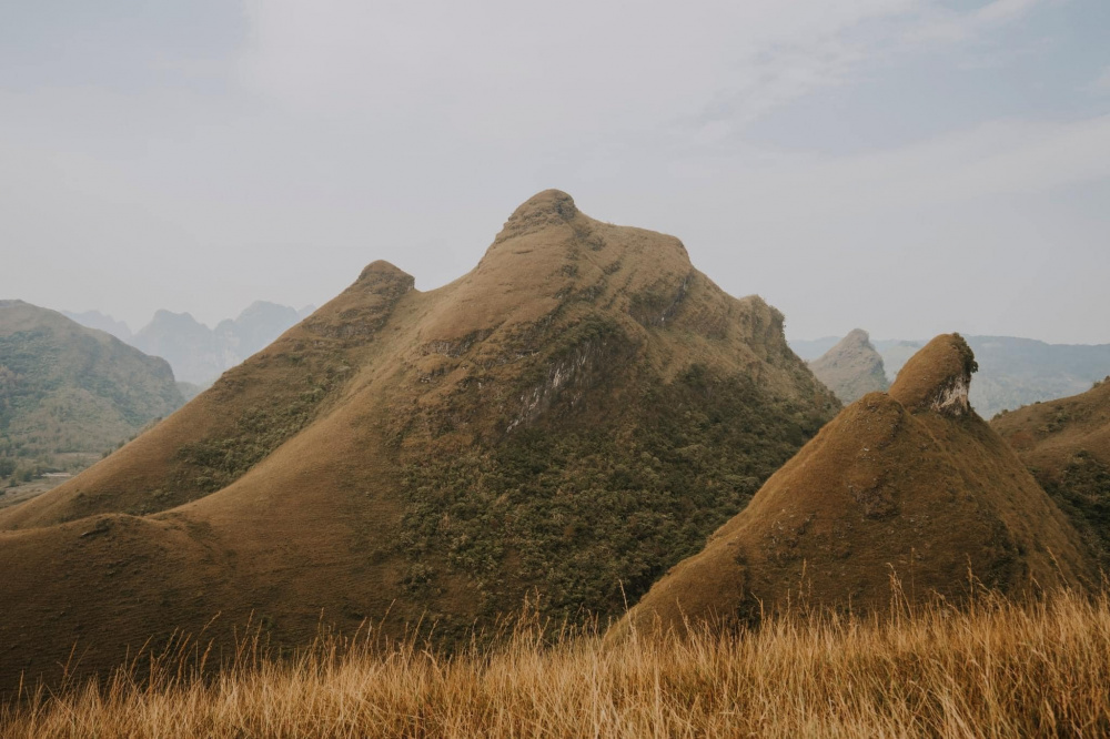 đồi cỏ cháy