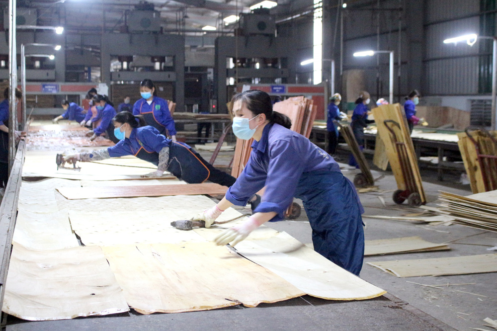 Sản xuất gỗ tại Công ty Cổ phần Đầu tư Govina