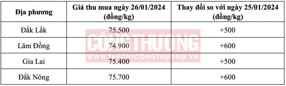Giá cà phê hôm nay CWIN ✅ Nhà cái cờ bạc trực tuyến tốt nhất và Thương hiệu uy tín