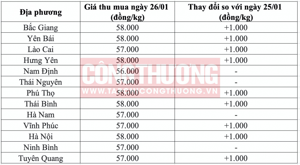 Giá heo hơi hôm nay tại miền Bắc CWIN ✅ Nhà cái cờ bạc trực tuyến tốt nhất và Thương hiệu uy tín