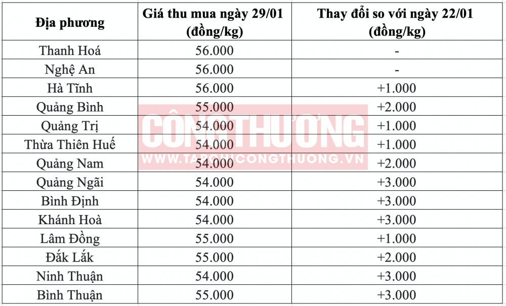 Giá heo hơi hôm nay tại miền Trung CWIN ✅ Nhà cái cờ bạc trực tuyến tốt nhất và Thương hiệu uy tín
