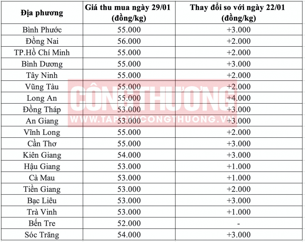 Giá heo hơi hôm nay tại miền Nam