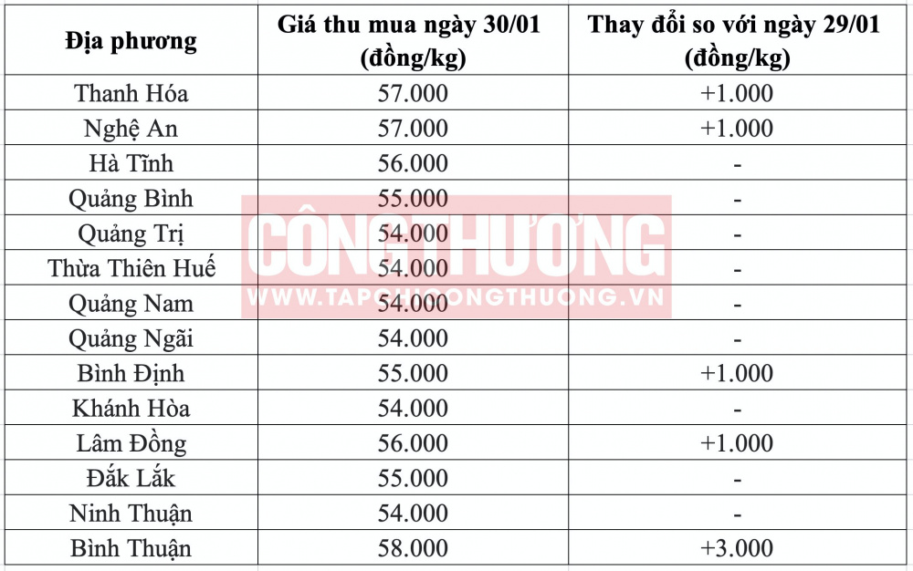 Giá heo hơi miền Trung CWIN ✅ Nhà cái cờ bạc trực tuyến tốt nhất và Thương hiệu uy tín