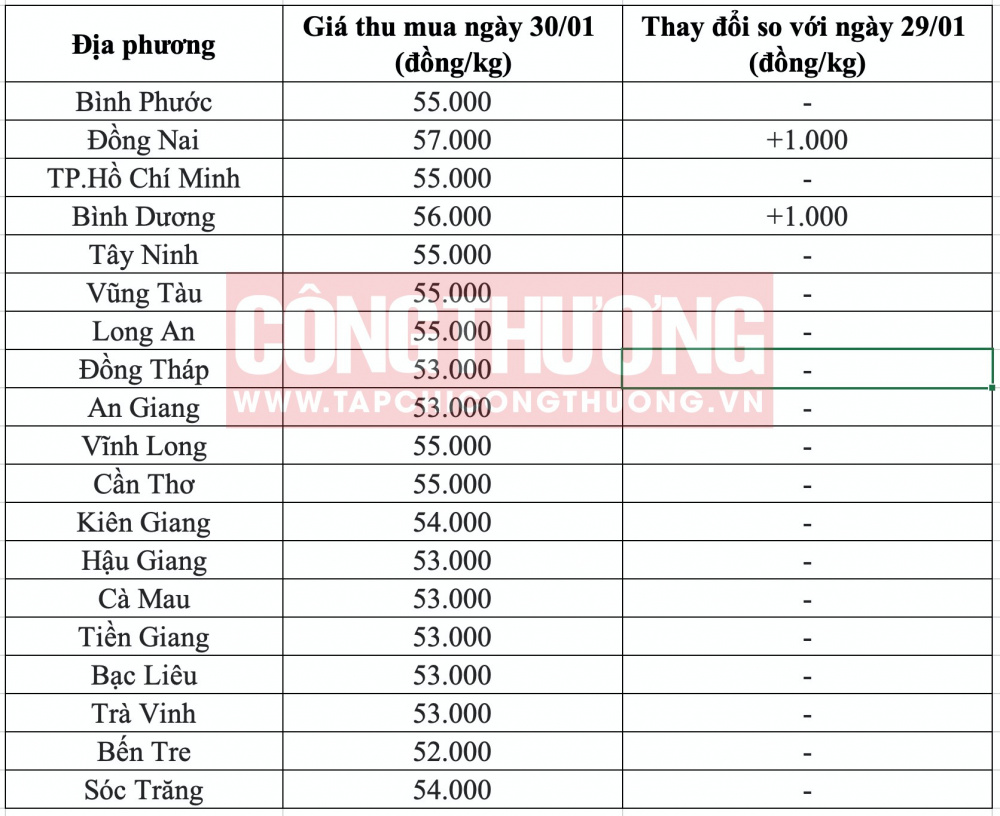 Giá heo hơi hôm nay tại miền Nam CWIN ✅ Nhà cái cờ bạc trực tuyến tốt nhất và Thương hiệu uy tín