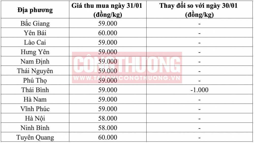 Giá heo hơi hôm nay tại miền Bắc CWIN ✅ Nhà cái cờ bạc trực tuyến tốt nhất và Thương hiệu uy tín