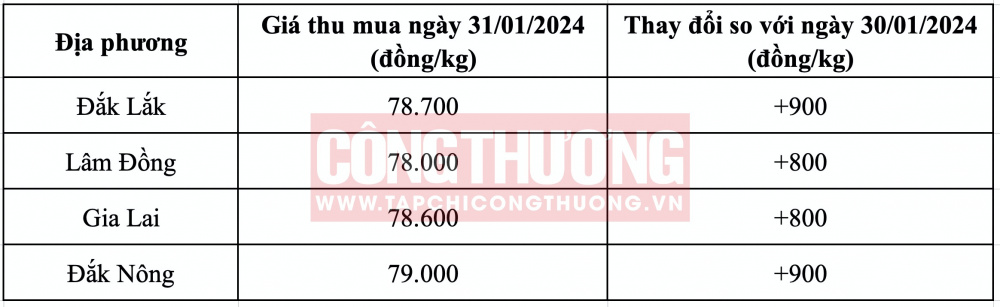 Giá cà phê hôm nay CWIN ✅ Nhà cái cờ bạc trực tuyến tốt nhất và Thương hiệu uy tín