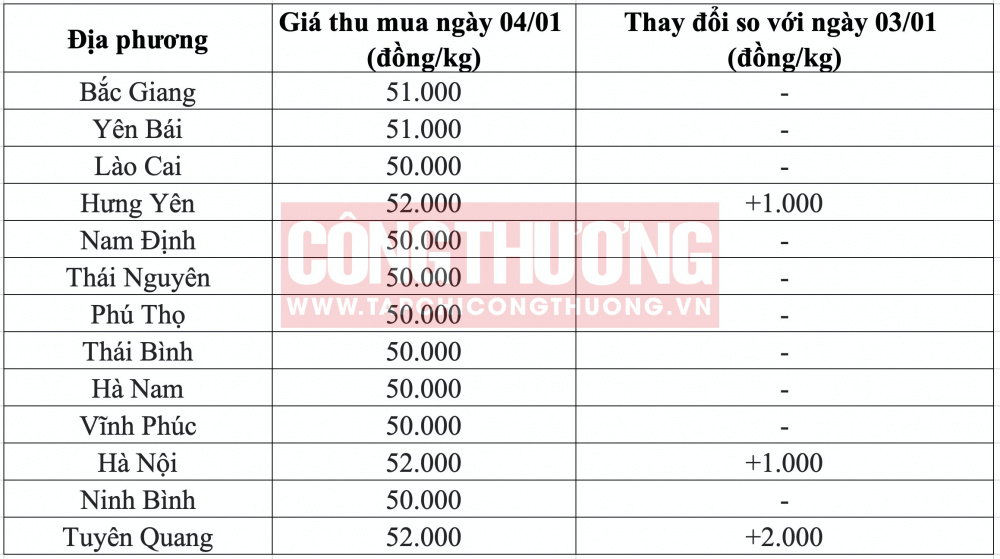 Giá heo hơi hôm nay tại miền Bắc CWIN ✅ Nhà cái cờ bạc trực tuyến tốt nhất và Thương hiệu uy tín