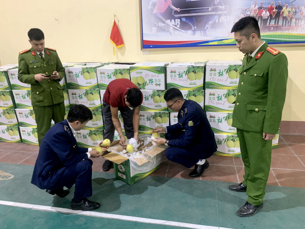 hoa quả nhập lậu