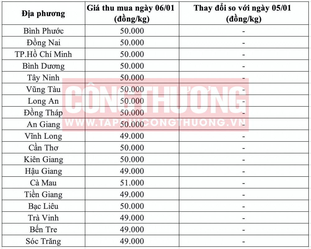 Giá heo hơi hôm nay tại miền Nam CWIN ✅ Nhà cái cờ bạc trực tuyến tốt nhất và Thương hiệu uy tín