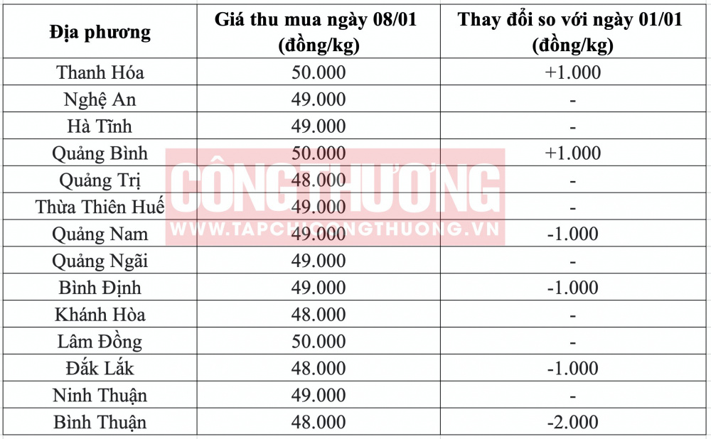 Giá heo hơi hôm nay tại miền Trung