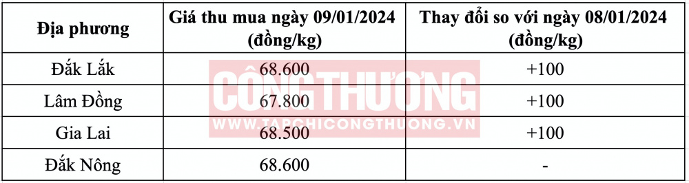 Giá cà phê hôm nay CWIN ✅ Nhà cái cờ bạc trực tuyến tốt nhất và Thương hiệu uy tín