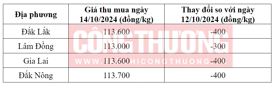 Tham khảo giá cà phê hôm nay ngày 14/10/2024 tại khu vực Tây Nguyên
