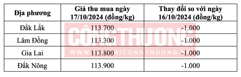 Tham khảo giá cà phê hôm nay ngày 17/10/2024 tại khu vực Tây Nguyên