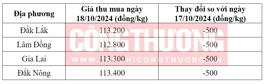 Tham khảo giá cà phê hôm nay ngày 18/10/2024 tại khu vực Tây Nguyên